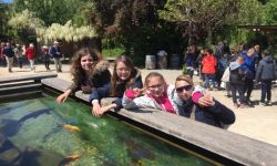 Classe Decouverte   107